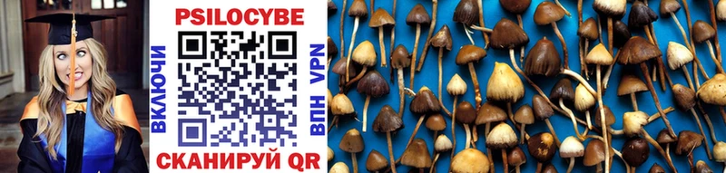 мориарти наркотические препараты  Урюпинск  Псилоцибиновые грибы Magic Shrooms 