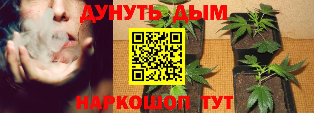 Бошки Шишки конопля Урюпинск